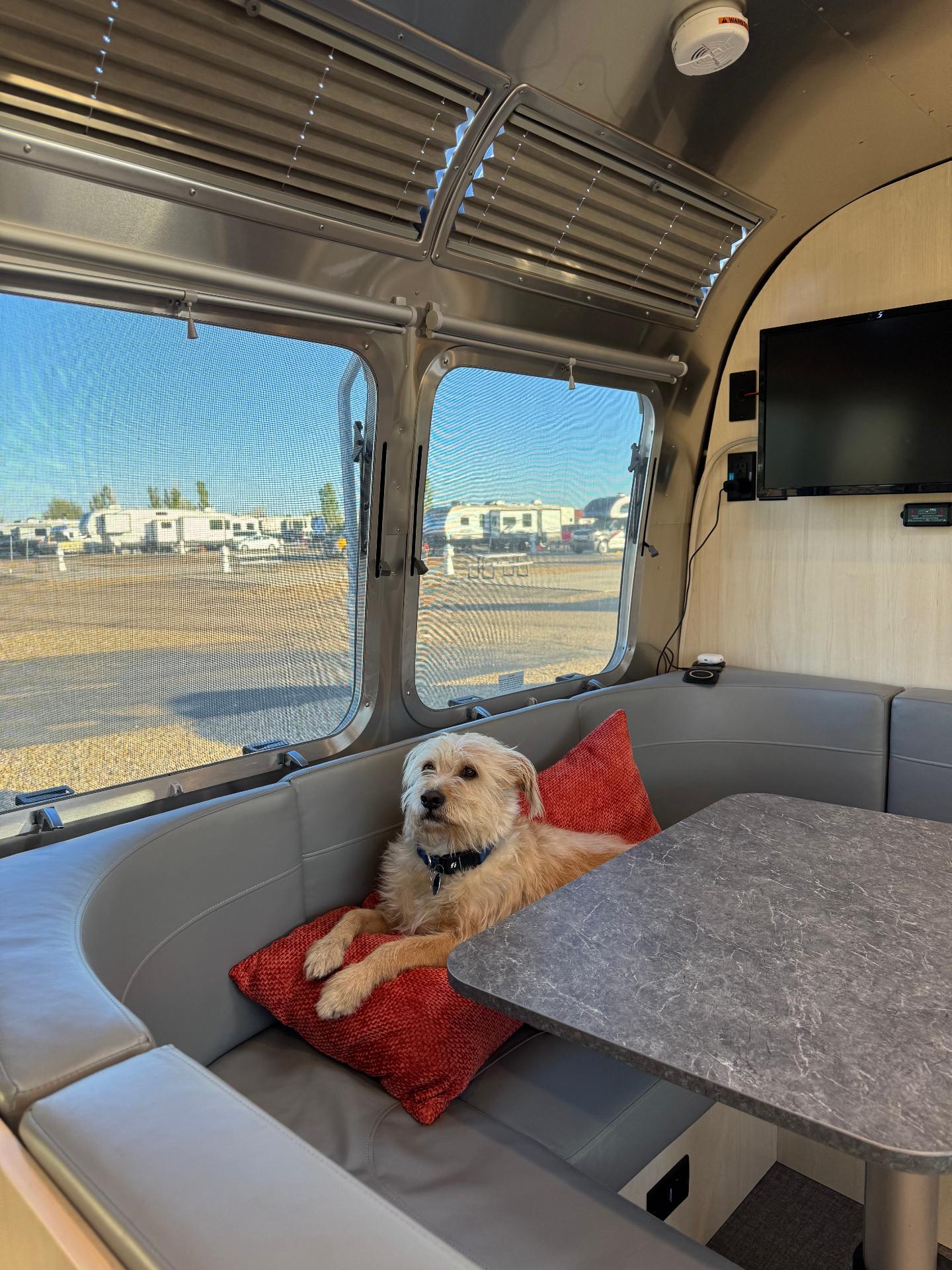 Bengie relaxing in the Airstream