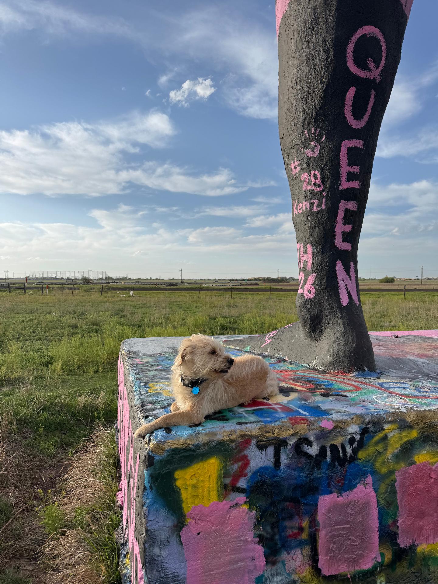 Bengie at Cadillac Ranch