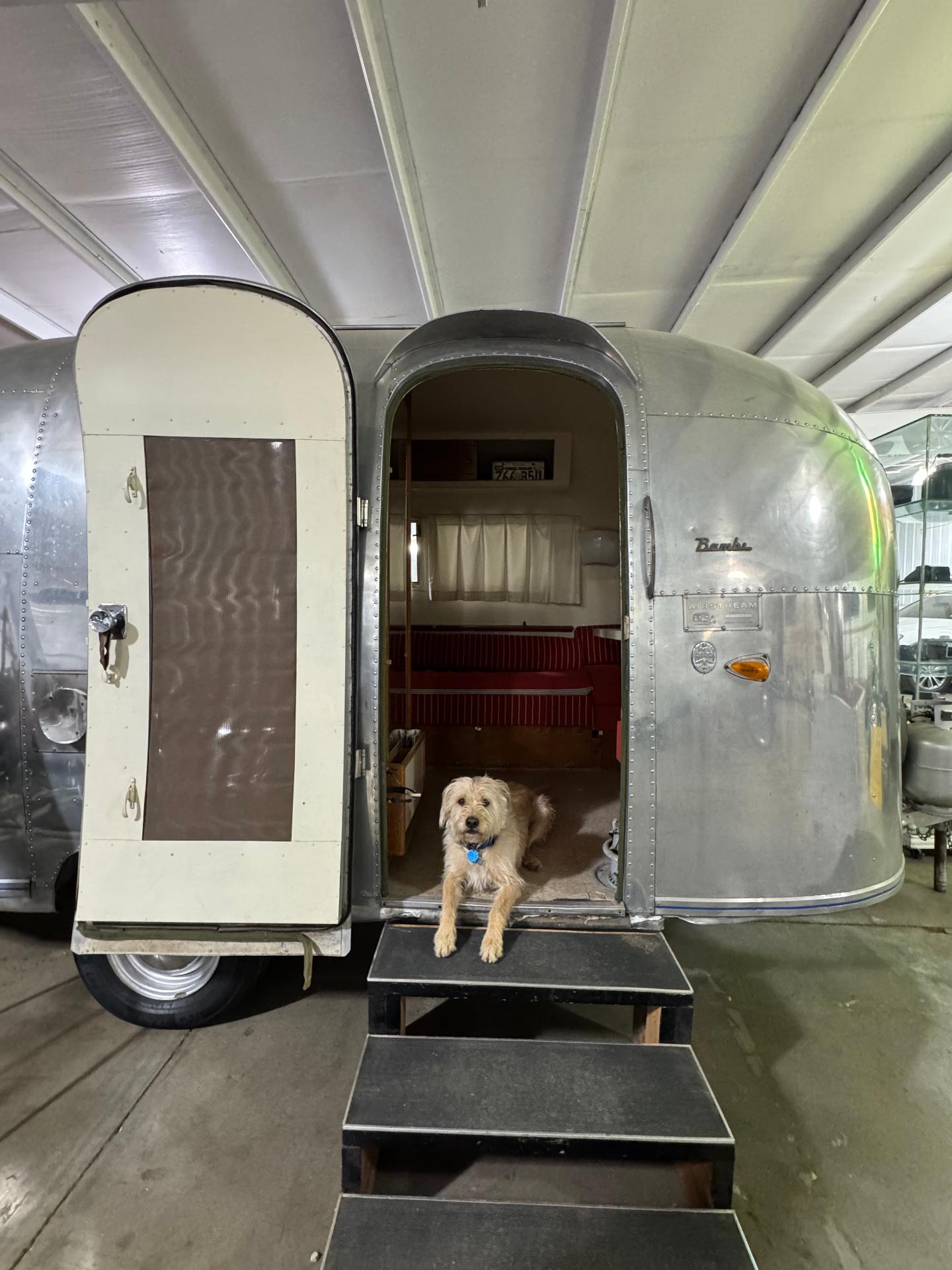 Bengie exploring a vintage Airstream
