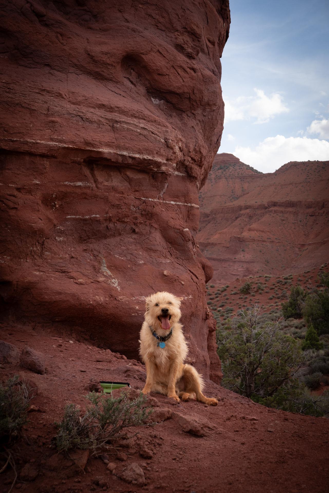 Bengie at the red rocks