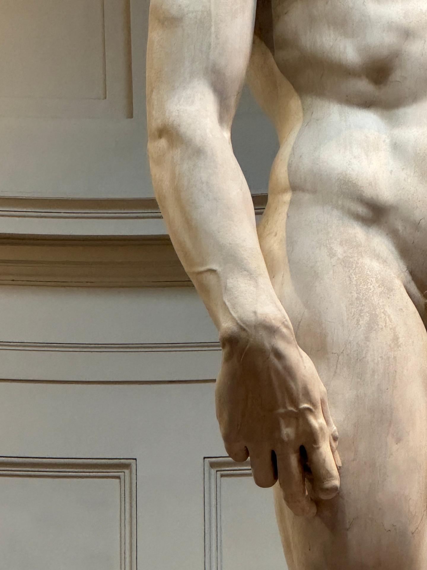 El David de Miguel Ángel