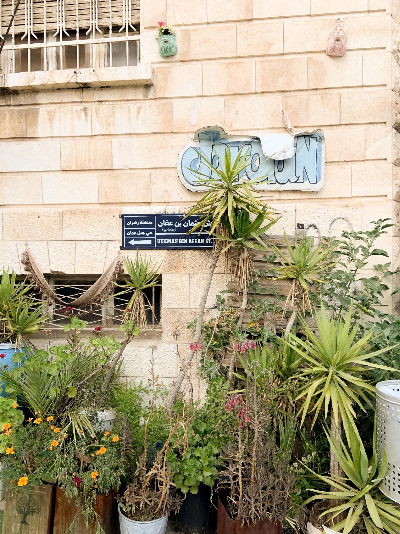 Plantas y letreros en una calle de Amman
