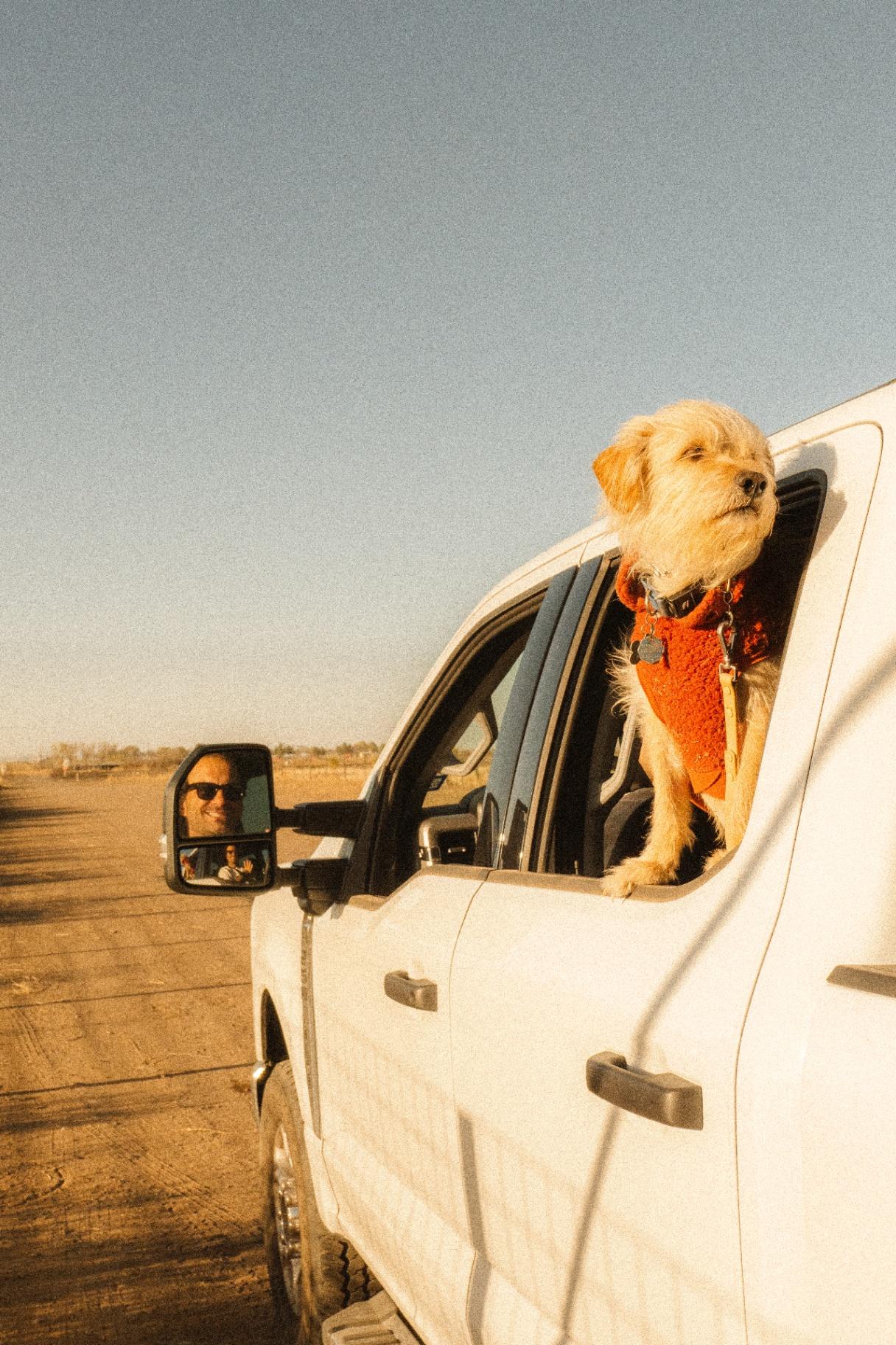 Bengie asomado por la ventana del pickup