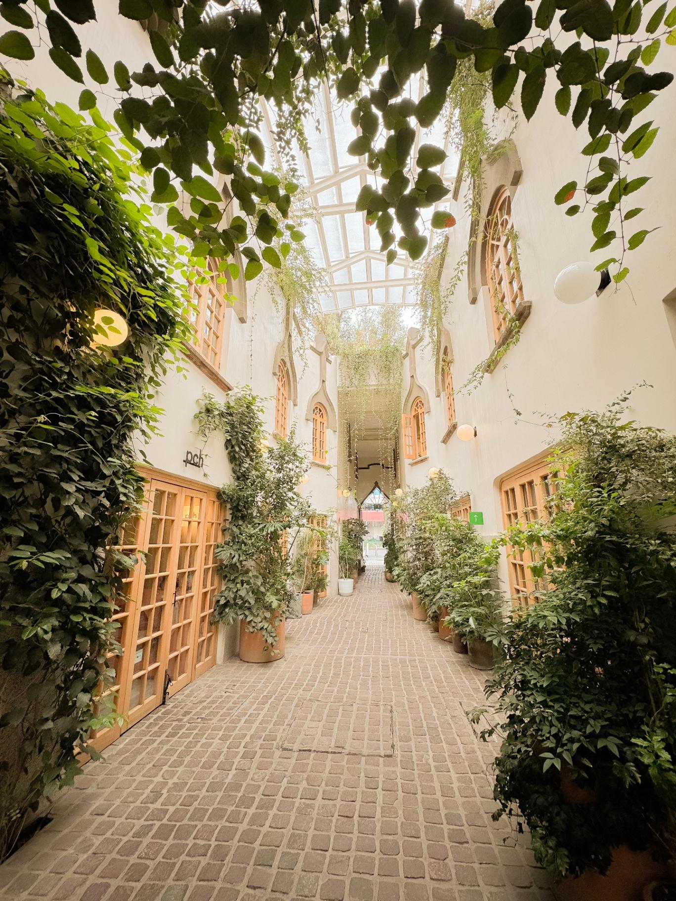 Patio de Roma Norte