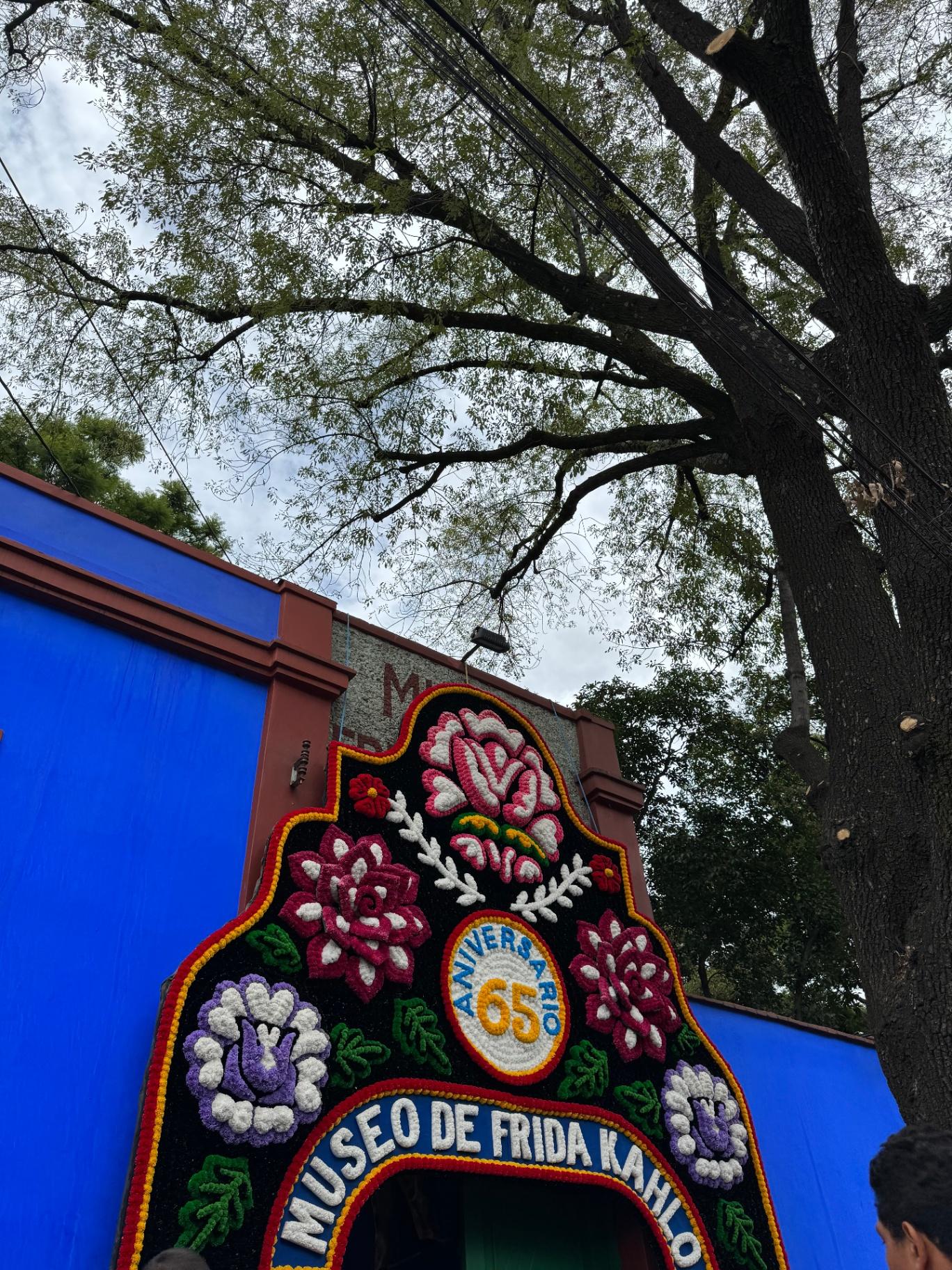 Interior Casa Azul