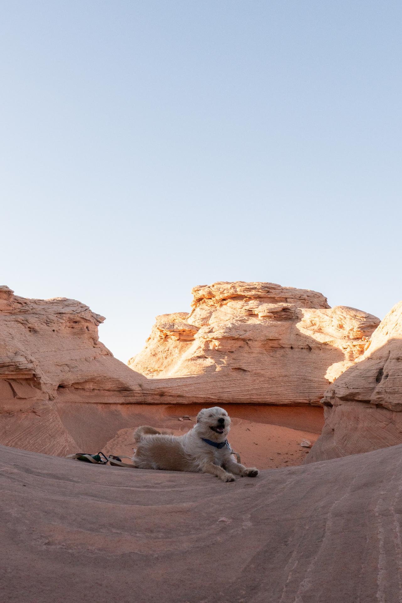 Bengie relaxing on the rocks