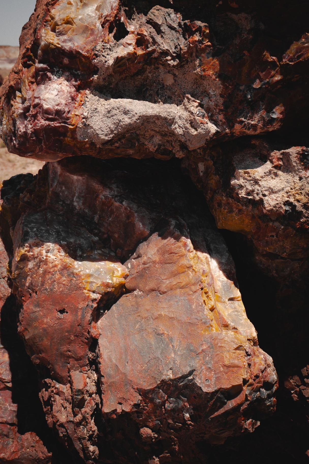 Crystal formations in petrified wood