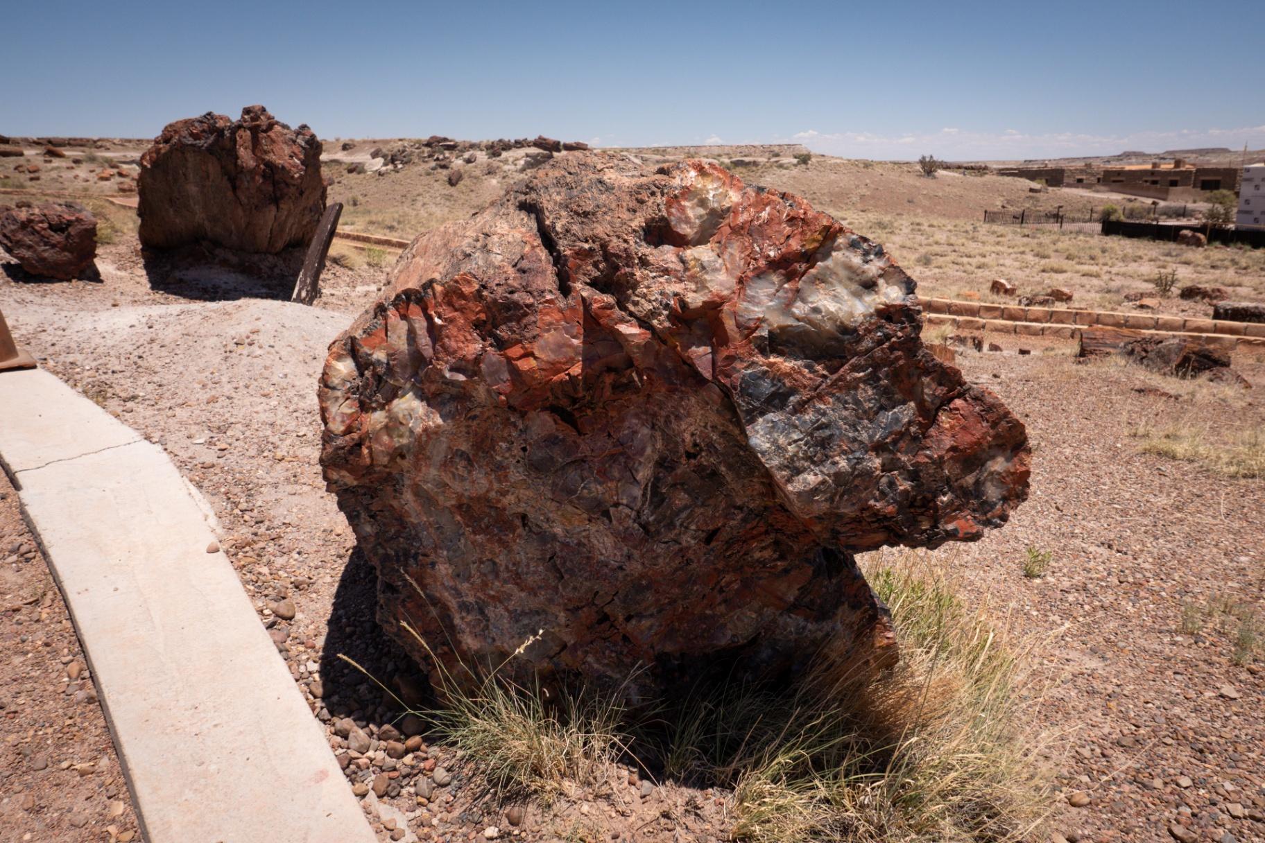 Colorful petrified stump
