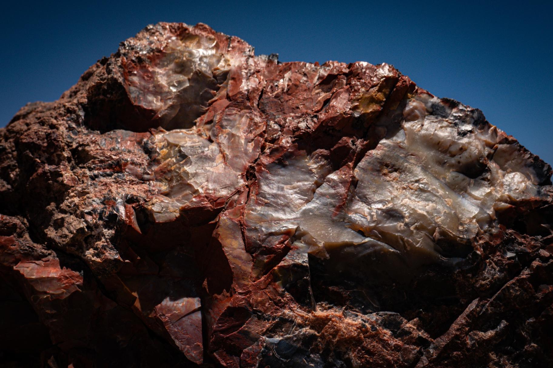 Crystal detail in petrified wood