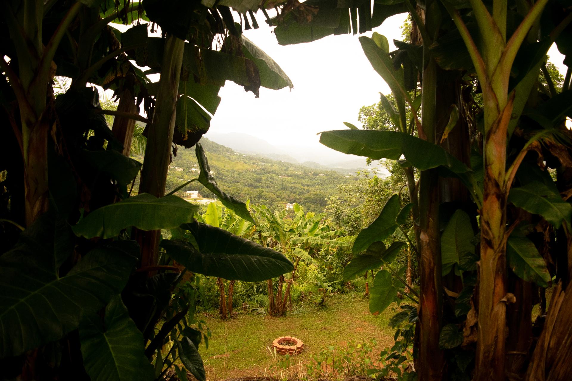 El Yunque y el Noreste