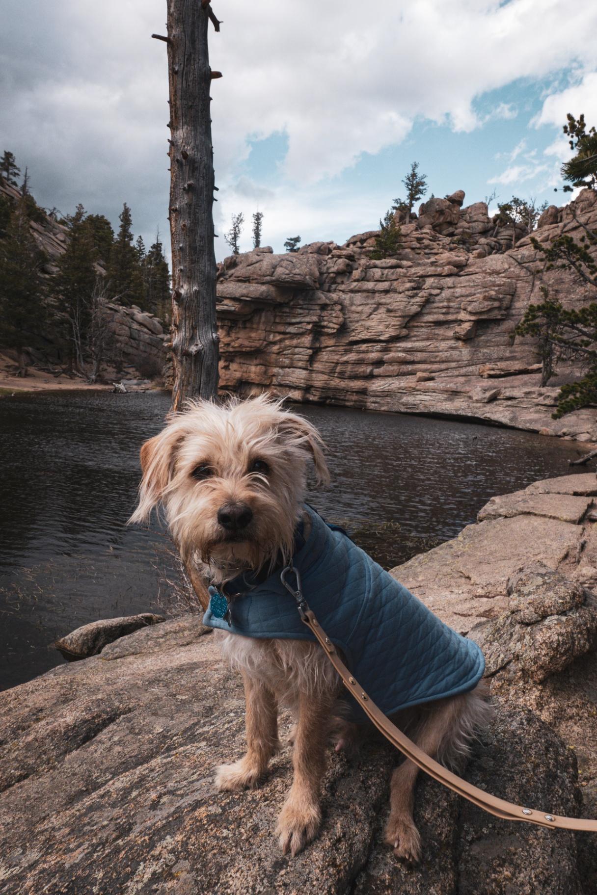 Bengie at Gem Lake