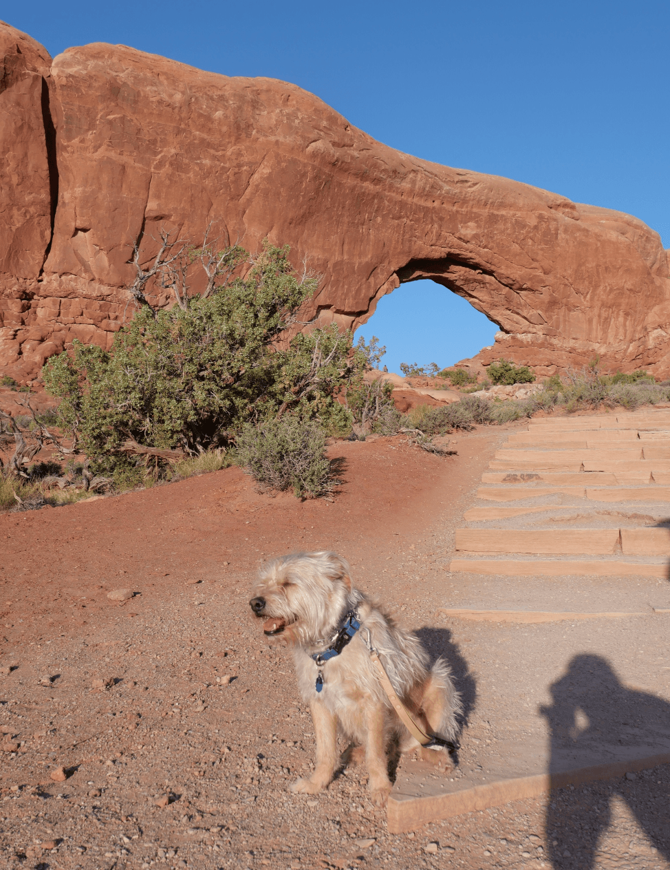 Bengie frente a un arco de roca en Arches National Park