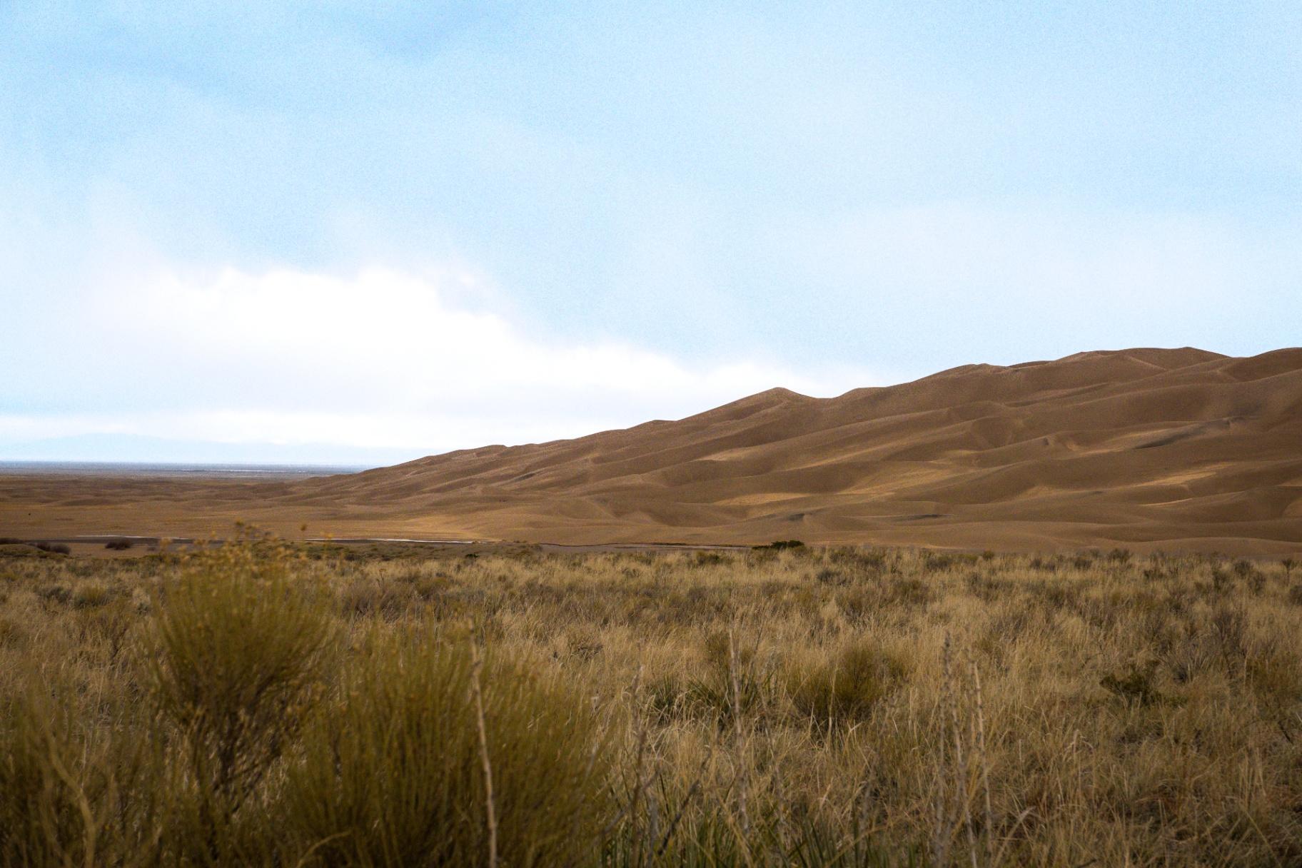 Dunes meet the grasslands