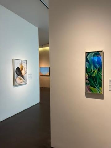 Interior del Museo Georgia O'Keeffe
