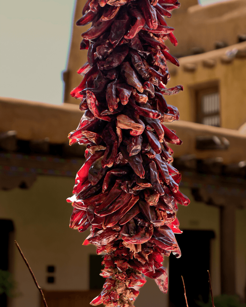 Traditional chile ristra
