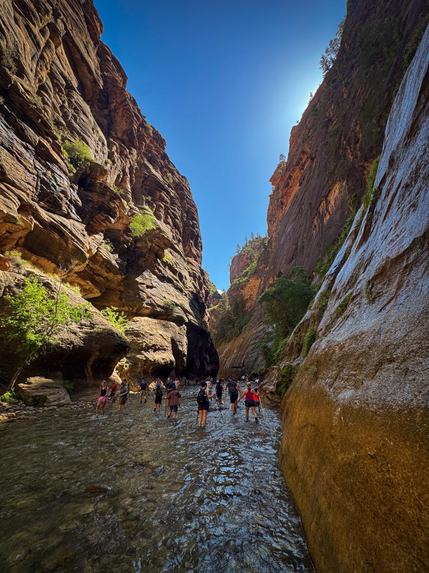 Wading through the Virgin River