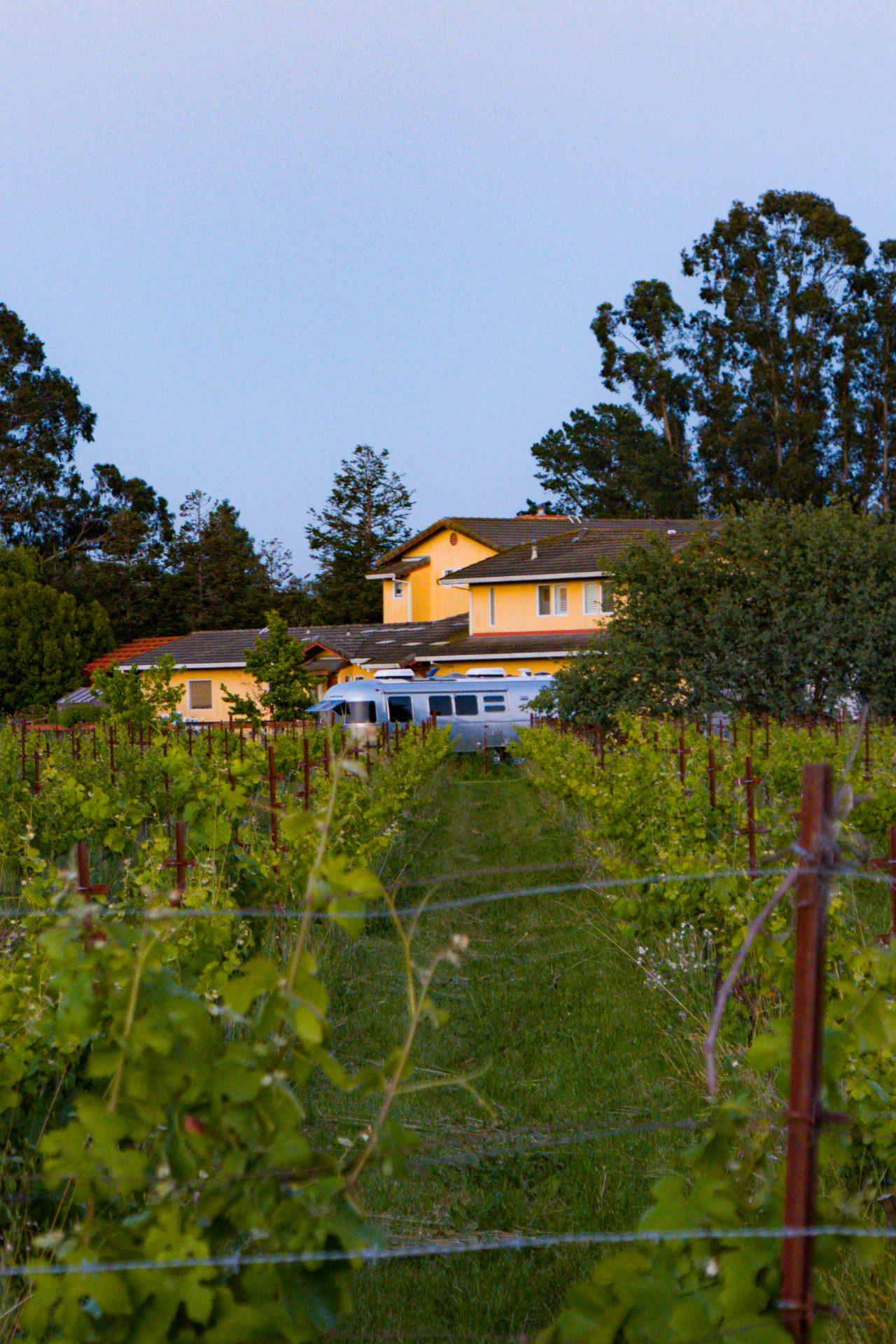Sonoma, California: un wiken en Wine Country